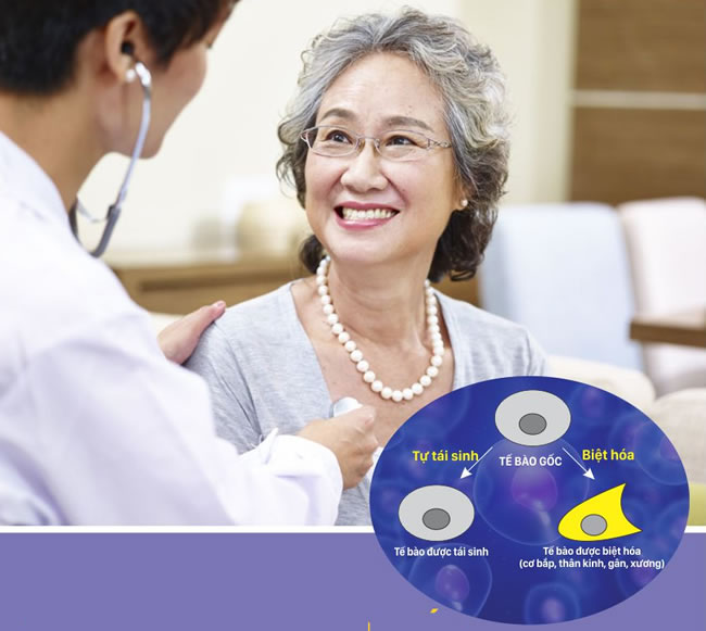 Liệu pháp điều trị Tế bào gốc: Không chịu thua tuổi tác và bệnh tật