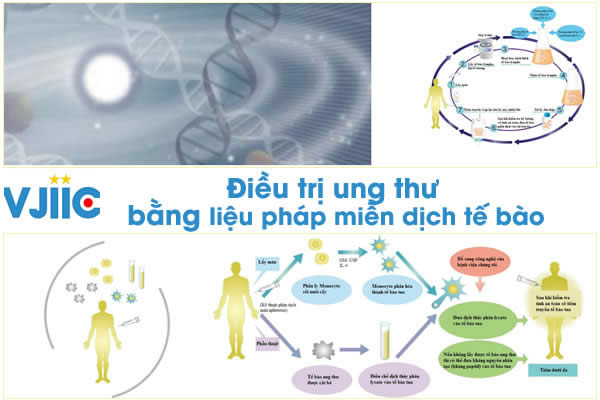 Điều trị ung thư bằng liệu pháp miễn dịch tế bào